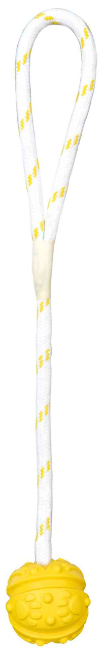 Werfen & Apportieren