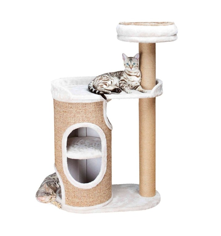 Neuheiten für Katzen