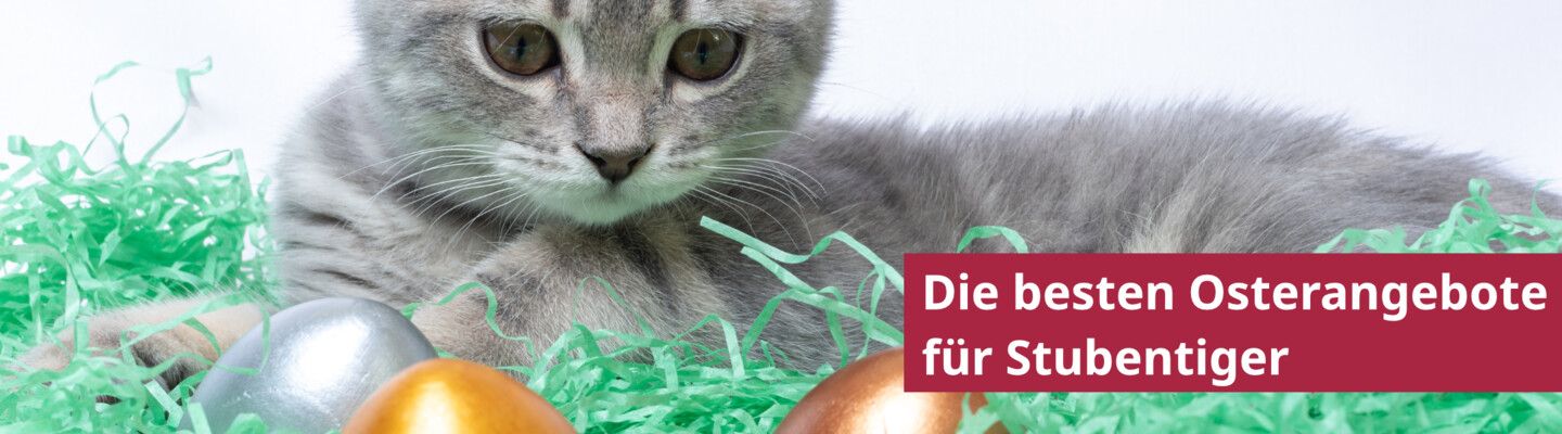 Freuen Sie sich über tolle Geschenke mit der Zoologo Osteraktion