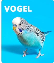  Sliderbild