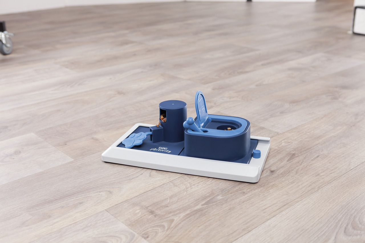 Beschäftigung & Intelligenz