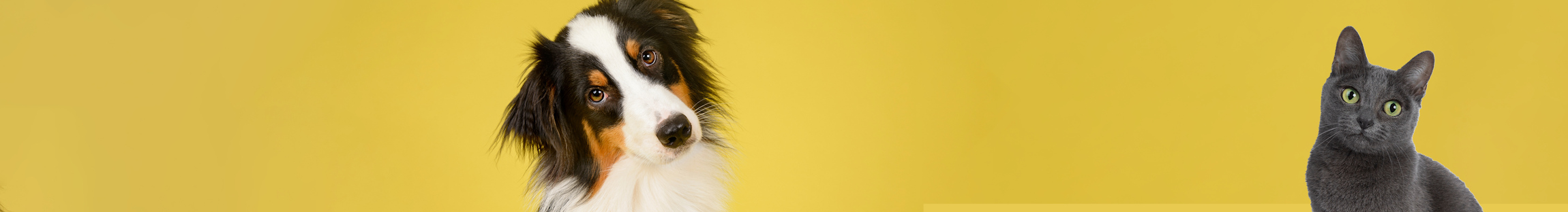 Footer Newsletter Bild