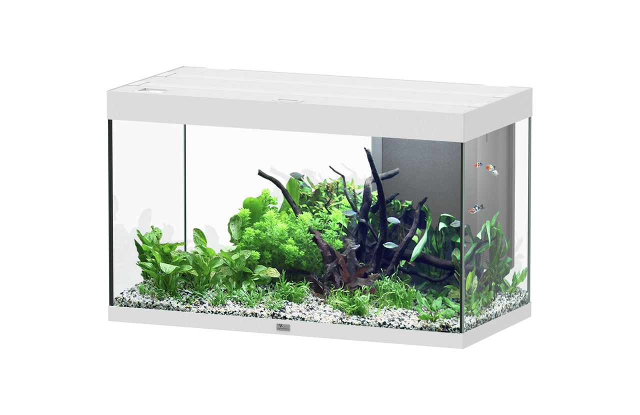 Aquatlantis Sublime 245 Piano Weiß Aquarium