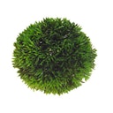 Vorschaubild HOBBY Plant Ball 9 Centimeter Aquarieneinrichtung