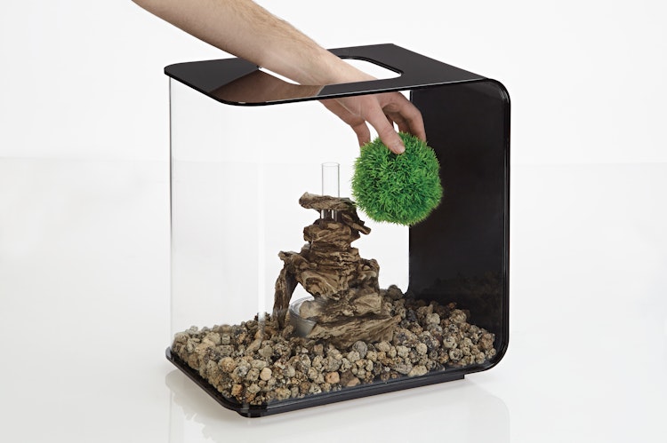 biOrb Dekogewächsball Set 3 grün (46060)