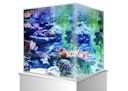 Vorschaubild amtra Nanotank Glasbecken