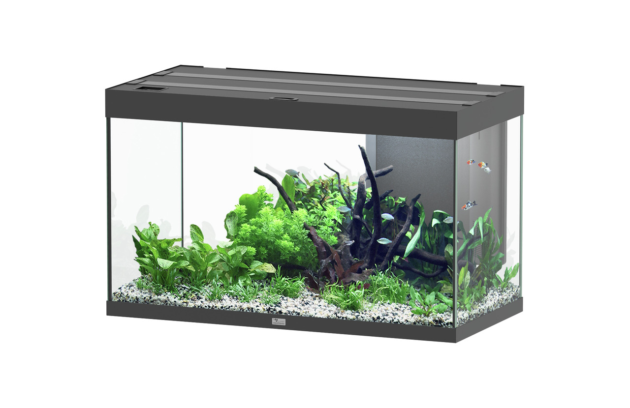 Aquatlantis Sublime 245 Piano Schwarz Aquarium-Set