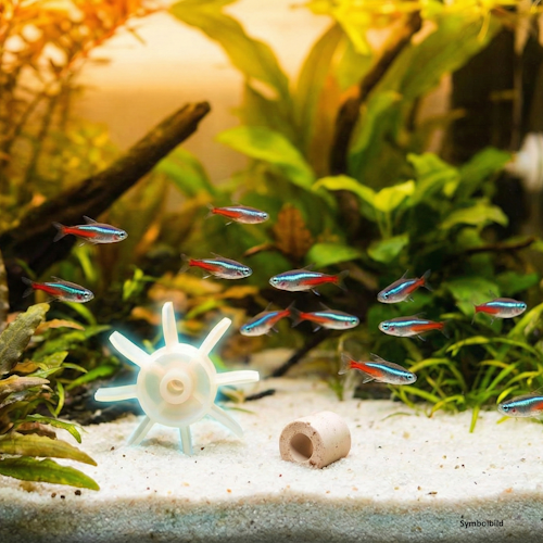 Aquatlantis Stabilisatoren zu Leuchtbalken SPLENDID/SUBLIME 340 mm