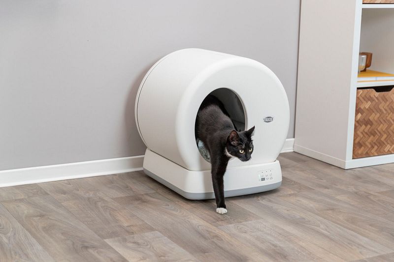 Petotal - Katzenartikel im Sale