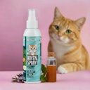 Vorschaubild Tierliebhaber Dentalspray für Katzen