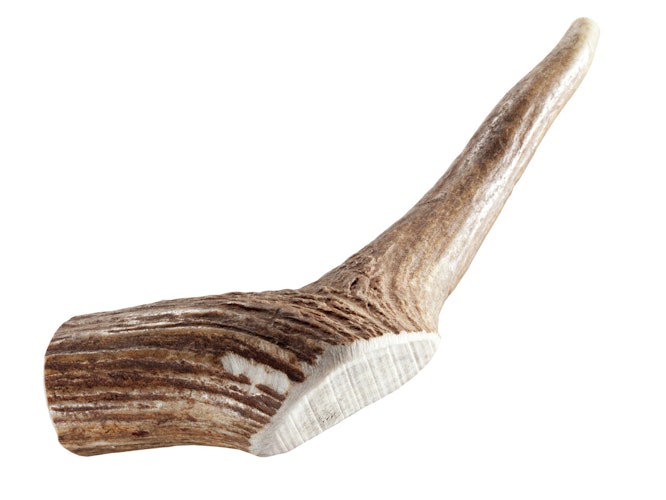 Chewies Premium Rothirschgeweihstange Hundekauartikel