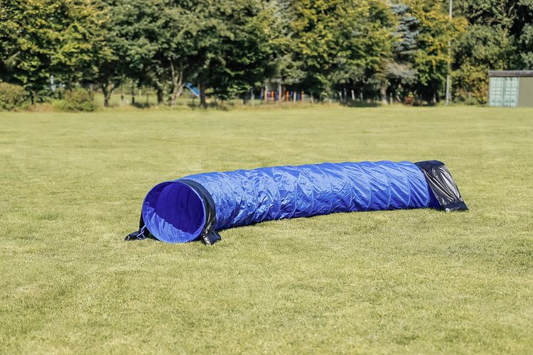 TRIXIE Fun Agility Basic Tunnel, ø 60 cm/5 m, blau