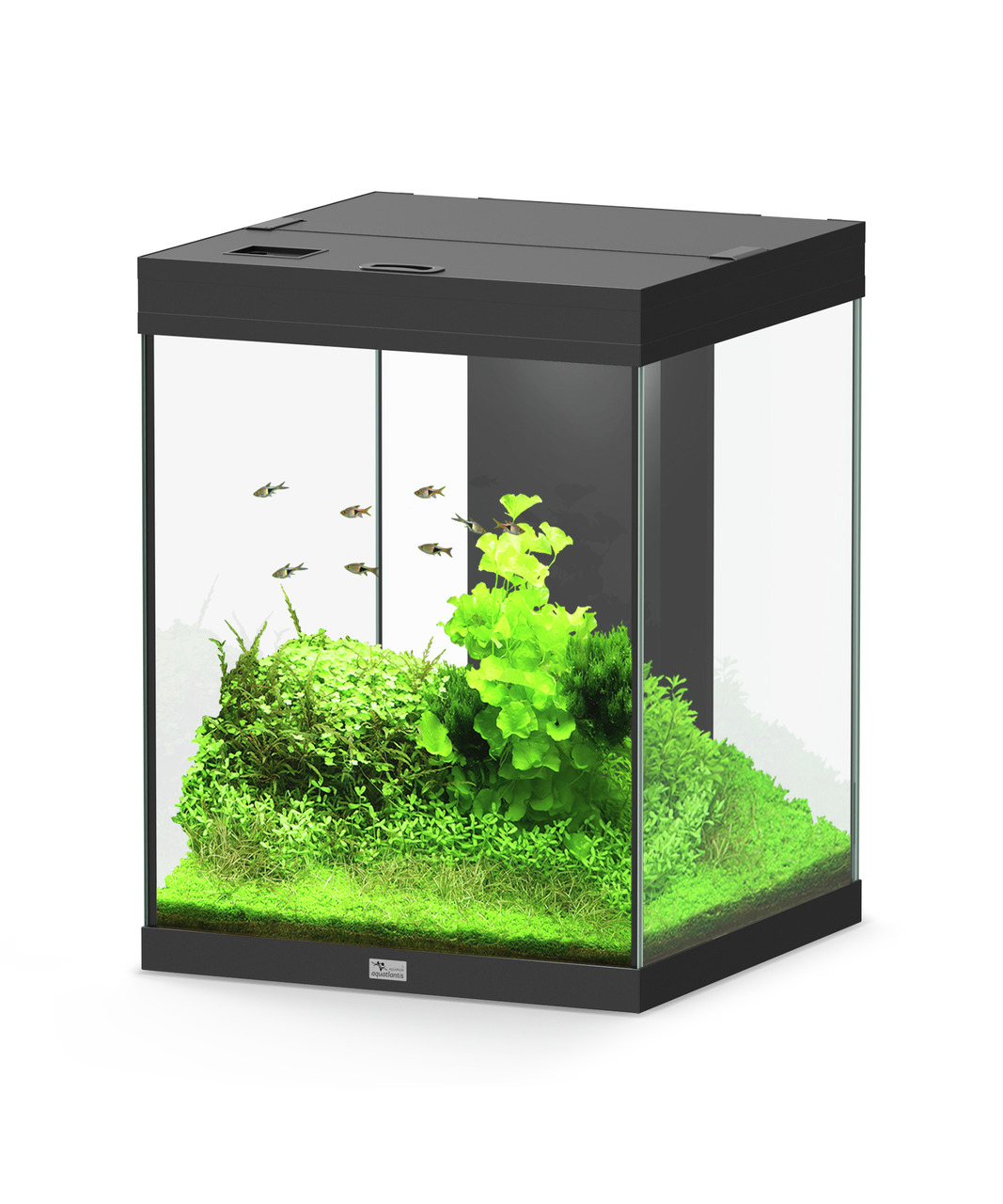 Aquatlantis Aqua Tower 163 Aquarium-Set