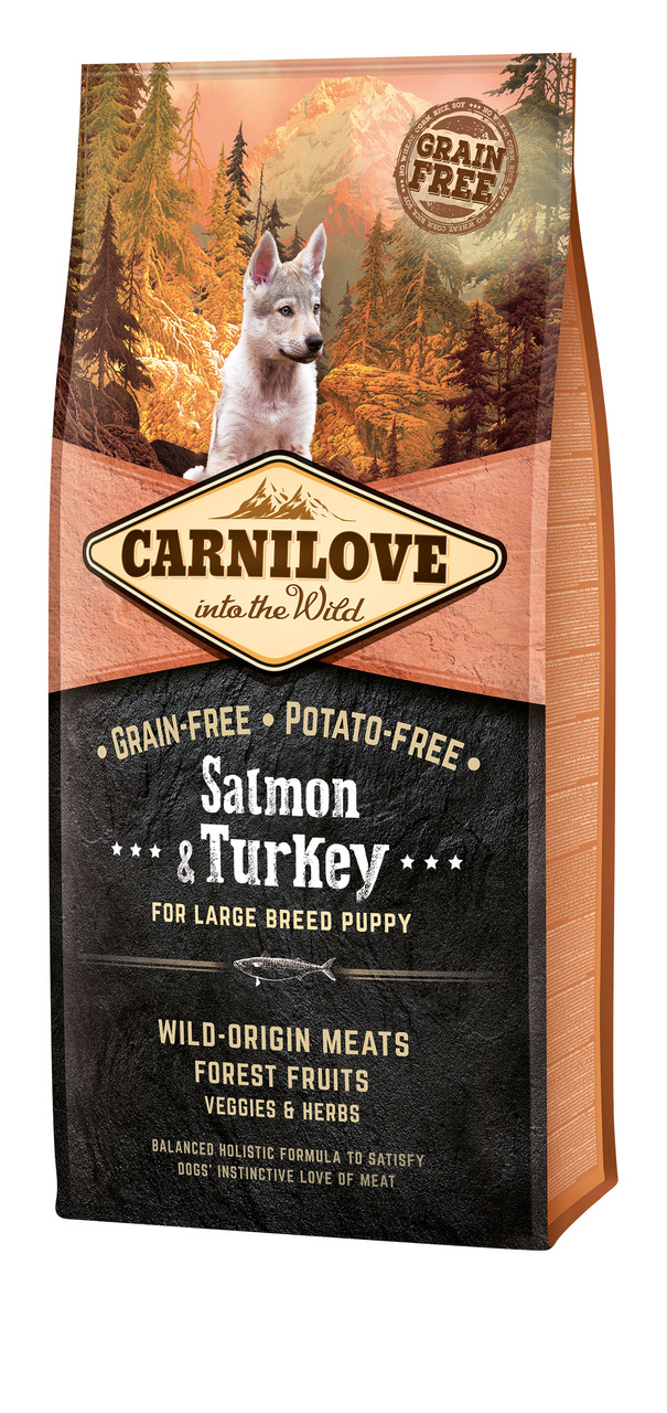 CARNILOVE Puppy Large Breed Salmon & Turkey Hundetrockenfutter