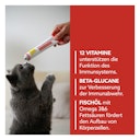 Vorschaubild Gimpet Cat Multi-Vitam-ex 200g