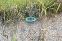 Vorschaubild Pontec Solar-Wasserspielset PondoSolar Island 250 Control