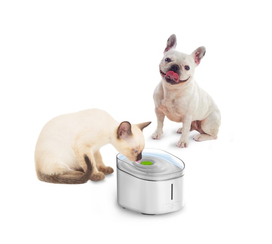 all for paws (afp) Ultimate Pet Fountain UV 3l Katzen- und Hundetrinkbrunnen mit UV