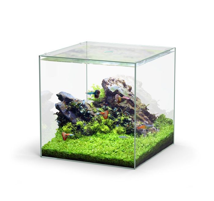 Aquatlantis Kubus 54 L Glasbecken