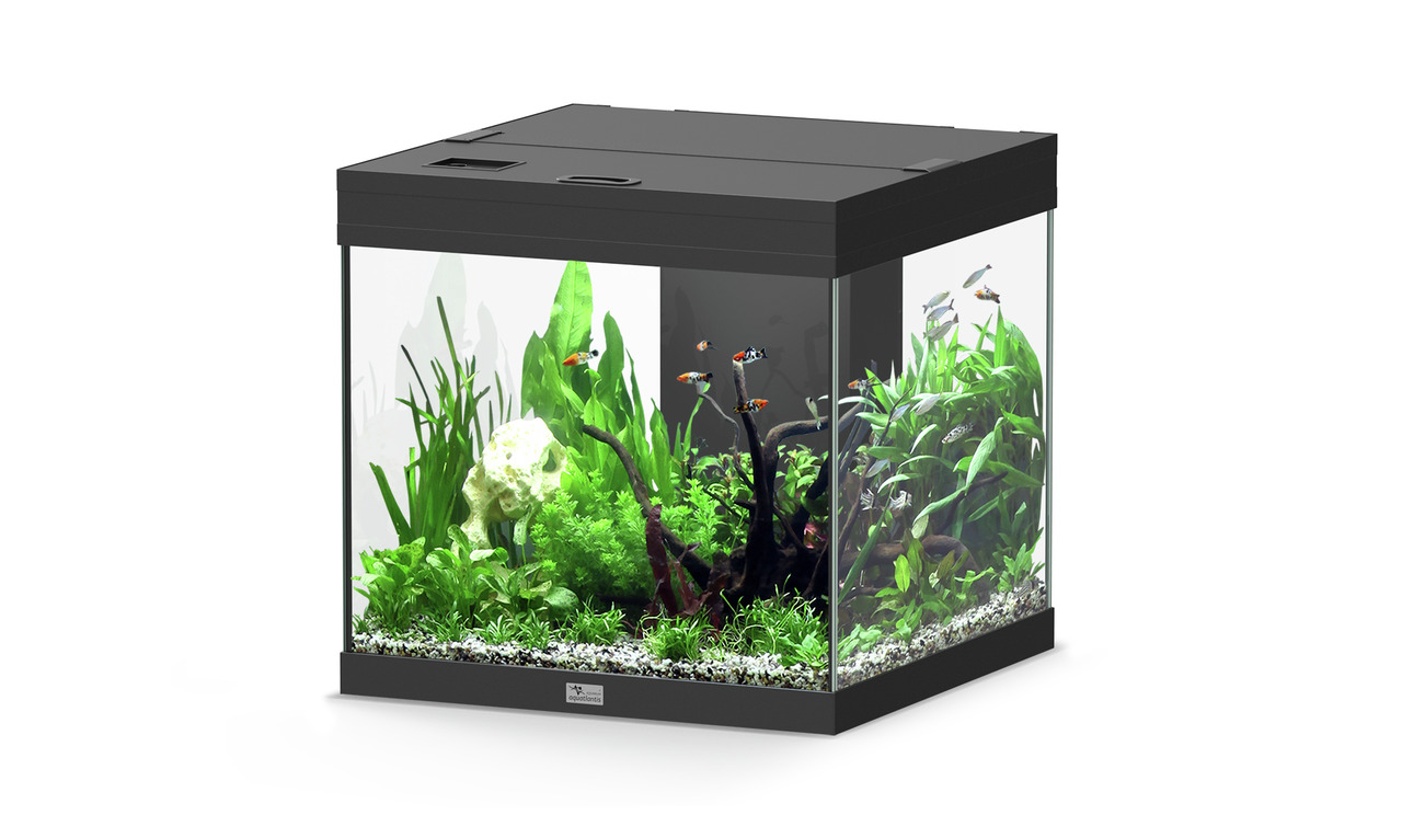 Aquatlantis Aqua Tower 120 Aquarium-Set