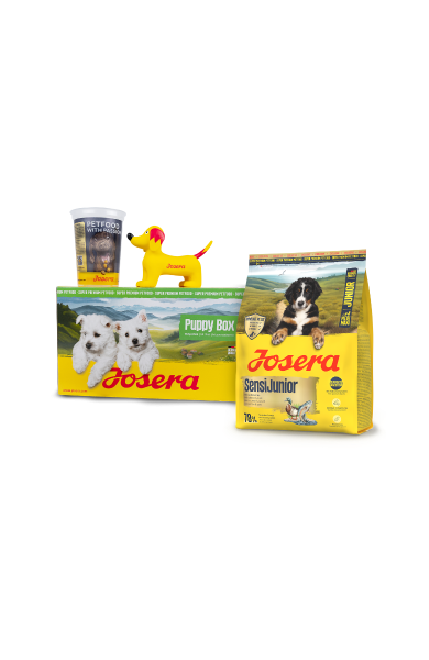 Josera 1,3kg Puppy Box SensiJunior Hundetrockenfutter