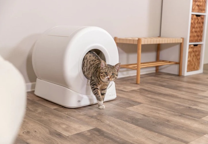 TRIXIE Smarte Katzentoilette, Kunststoff, 51 × 56 × 54 cm, weiß