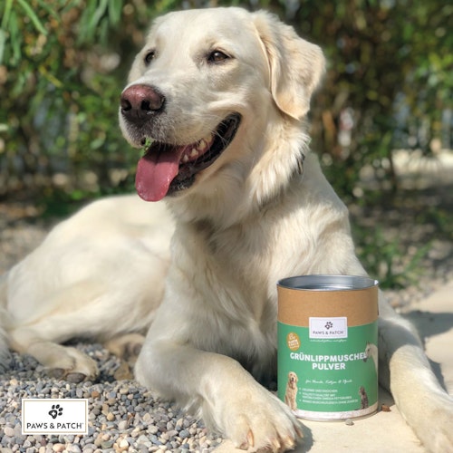 Paws&Patch GRÜNLIPPMUSCHEL PULVER 150g