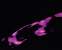 Vorschaubild Oase JumpingJet Rainbow Star Erweiterungsset