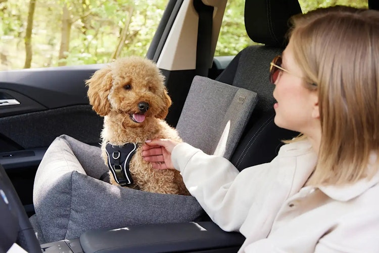 WOLTERS Dog Traveling Autositz 50 x 40 x 25 cm dunkelgrau