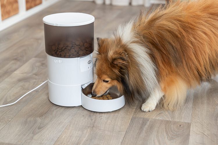 TRIXIE Futterautomat TX-S Smart 3.0L, 3 l/18 × 31 × 18 cm, weiß
