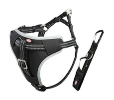 TRIXIE Auto-Geschirr Comfort, L: 65–80 cm/23 mm, schwarz