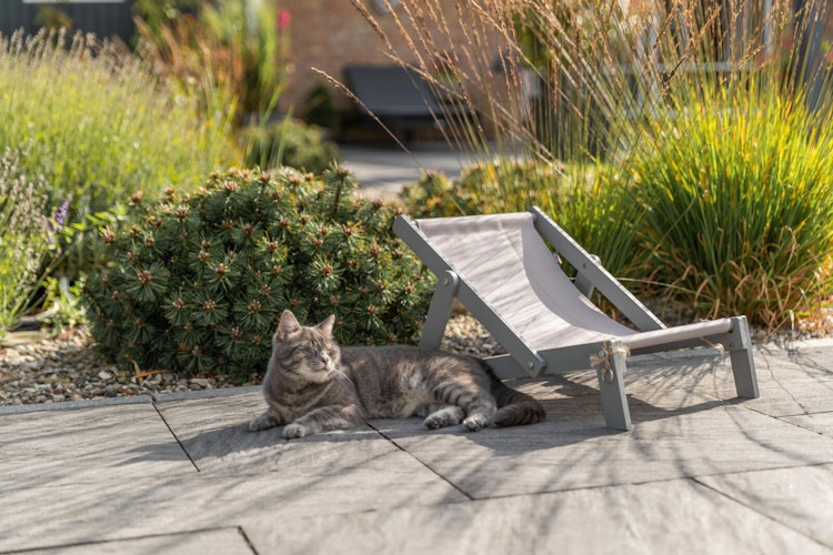 Strandstuhl, Holz, 33 × 37 × 51 cm, grau