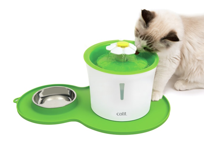 catit Silikonmatte in Erdnussform ca. 46 x 29 Centimeter Katzennapfunterlage