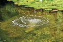 Vorschaubild Oase Belüfterstab für AquaOxy