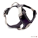 Vorschaubild Wolters Active Pro Geschirr 30 mm champagner