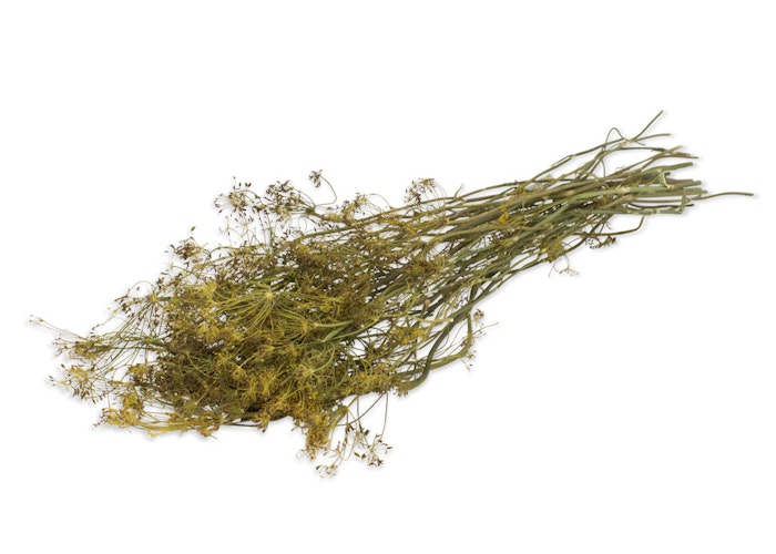 JR FARM Ein Stück Natur Dill-Ernte 80g Kleintierfutter