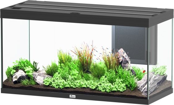 Aquatlantis Volga 350 LED Schwarz Aquarium