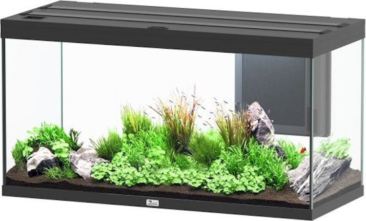 Aquatlantis Volga 350 LED Schwarz Aquarium