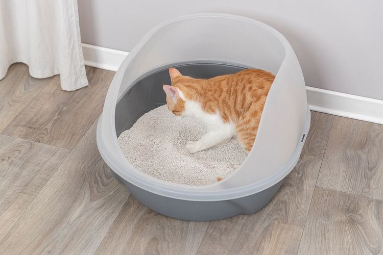 TRIXIE Katzentoilette Simao, hoher Rand, 48 × 30 × 58 cm, grau