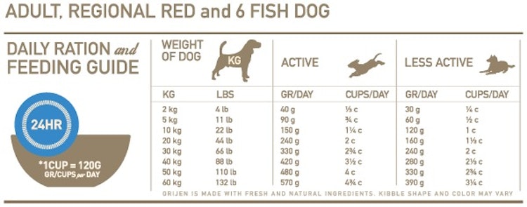 Orijen Adult Six Fish Hundetrockenfutter