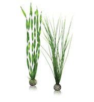 biOrb Pflanzen Set groß grün (46057)
