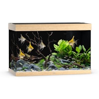 Rio 290 LED helles Holz Aquarium