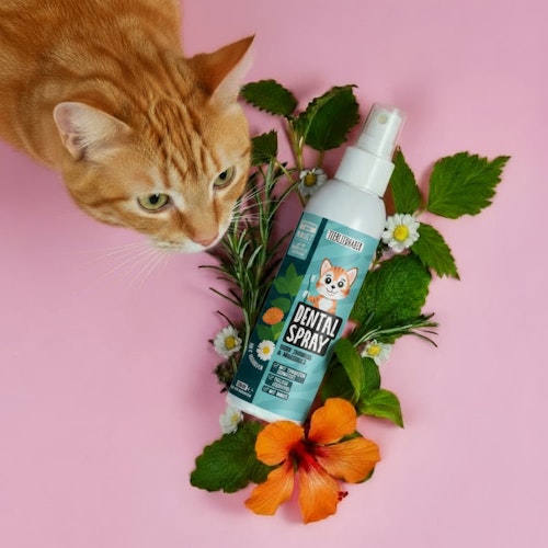 Tierliebhaber Dentalspray für Katzen