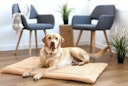 Vorschaubild Petlando Daisy Decke beige