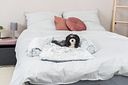 Vorschaubild TRIXIE Polster-Schondecke Harvey, eckig, 70 × 90 cm, weiß-schwarz