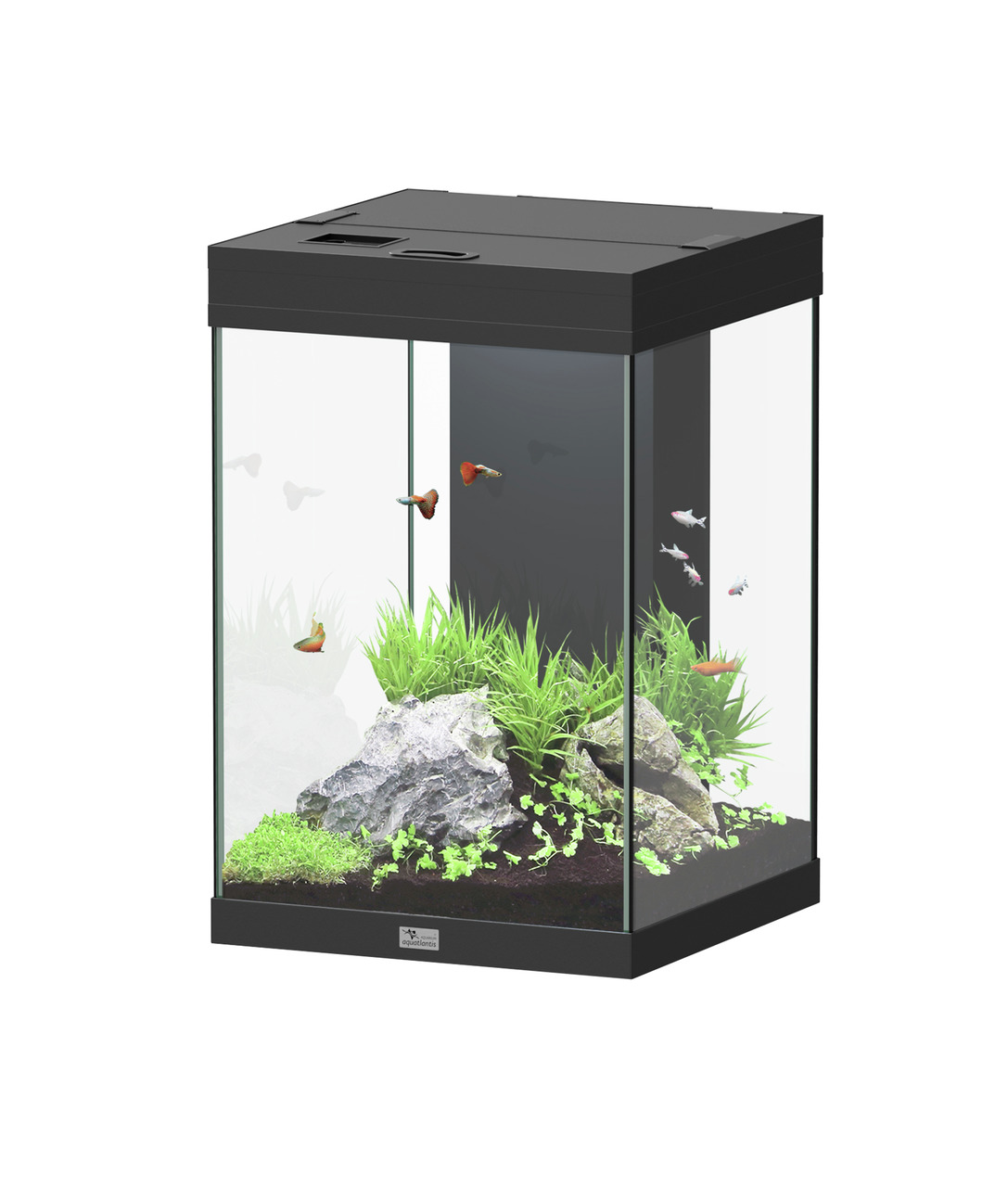 Aquatlantis Aqua Tower 96 Aquarium-Set