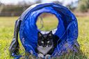 Vorschaubild TRIXIE Fun Agility Mini Tunnel, ø 40 cm/2 m, blau