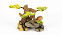 Vorschaubild aquatlantis Bonsai auf Stein