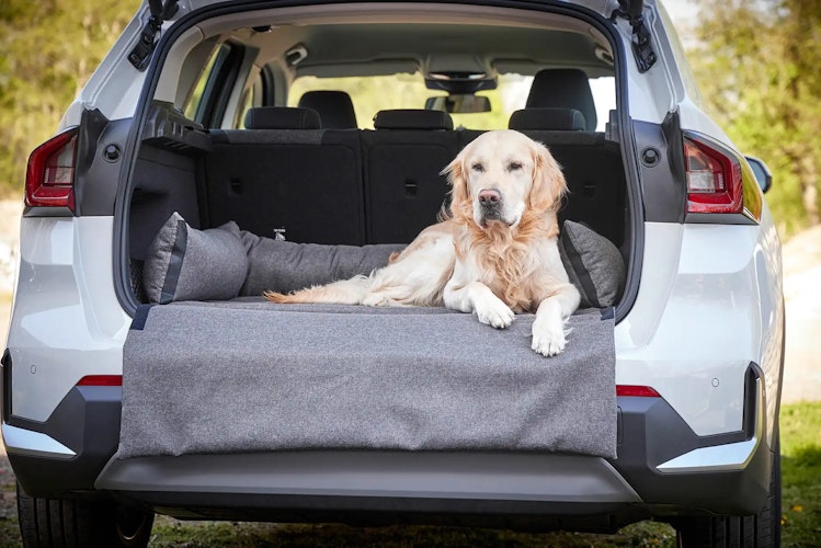 WOLTERS Dog Traveling Kofferraumbett 110 x 75 x 20 cm dunkelgrau