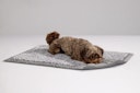 Vorschaubild WOLTERS Sweet Dreams Sofadecke salt/pepper