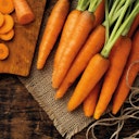 Vorschaubild Paws&Patch MOROSCHE KAROTTENSUPPE 150g